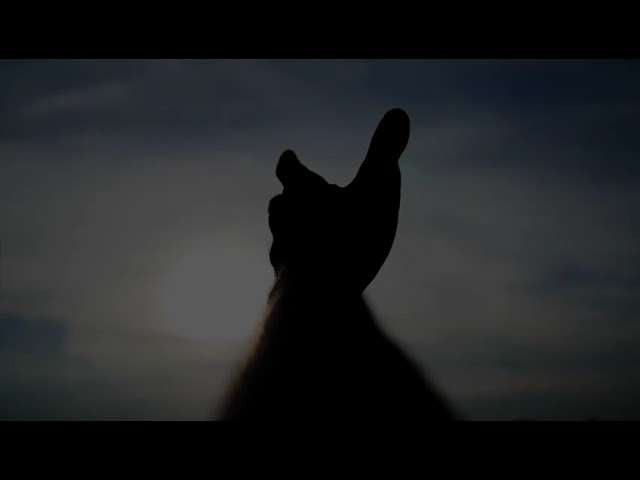 BlackRoom by Igor Tavares